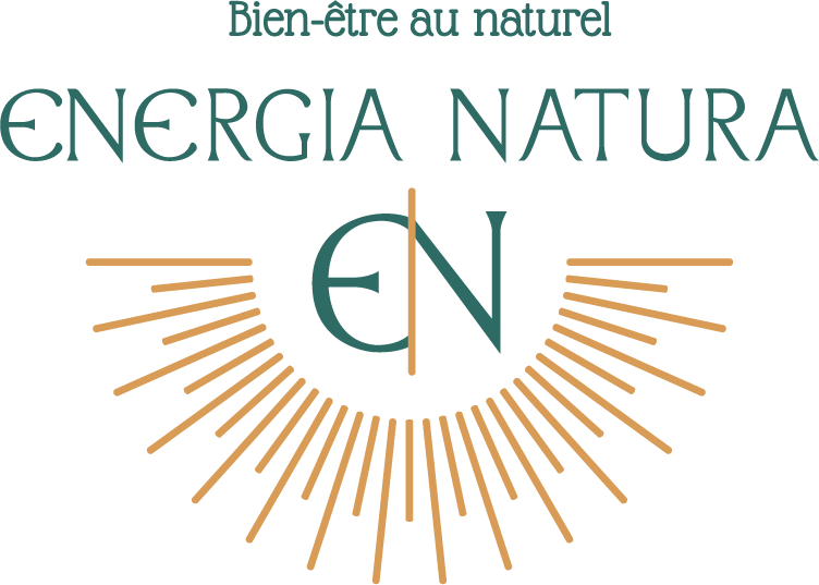 logo energia natura