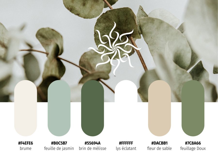 Palette de couleurs identité visuelle thérapeute holistique florame